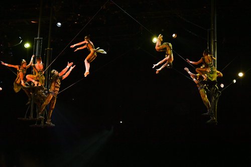Cirque_du_Soleil_OVO
