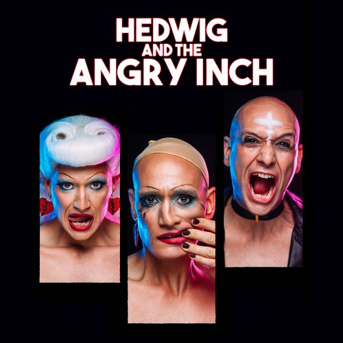 hedwig-and-the-angry-inch